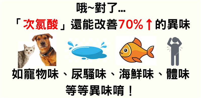竹北手工洗車推薦-洗來登汽車美容-次氯酸殺菌優惠