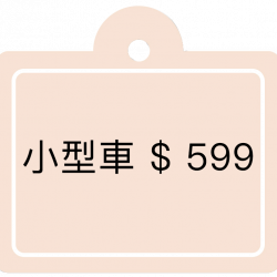 新竹洗車推薦-經典高溫蒸氣護理-車內殺菌服務4