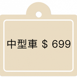 新竹洗車推薦-經典高溫蒸氣護理-車內殺菌服務6